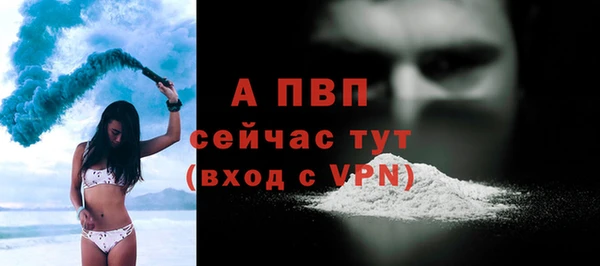 прущие грибы Белокуриха