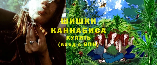 прущие грибы Белокуриха