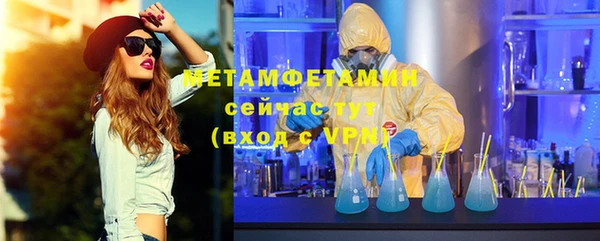 прущие грибы Белокуриха