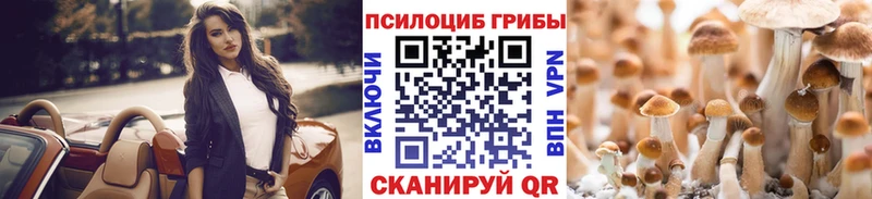 Псилоцибиновые грибы Psilocybe  Шали 